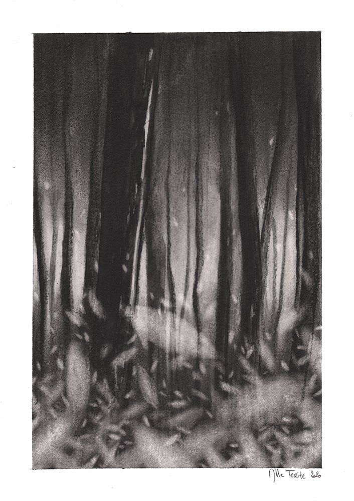 'Un jour d'automne, 17h20'
21×29,7cm, graphite,
2020